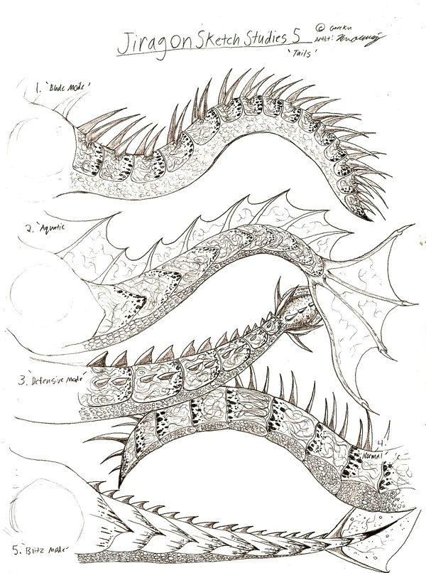 Dragon S Tail Drawing Jiragon Sketch Study Tails by Rendragonclaw Deviantart Com On