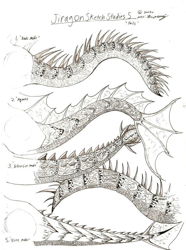 Dragon S Teeth Drawing Dragon Tail Google Search Cd Dragons Tail and forest In 2019