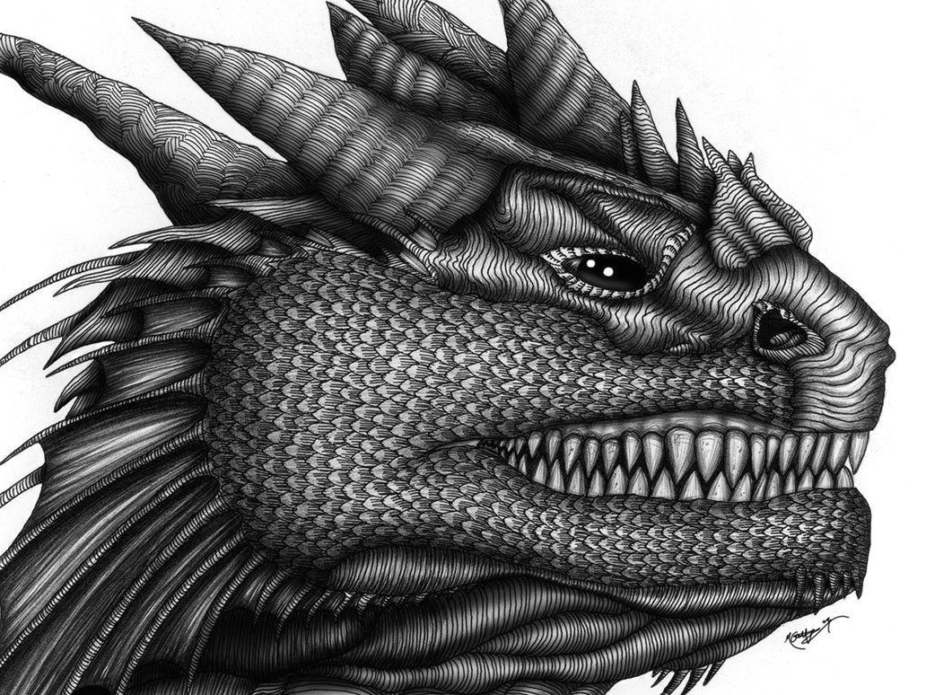 Dragon S Teeth Drawing Dragon Teeth Ballpoint by Machine Guts On Deviantart Dragons