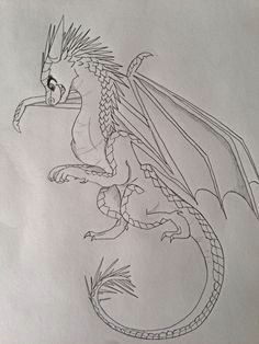 Dragon S Wing Drawing 1117 Best Wings Of Fire Images Dragons Wings Of Fire Dragons