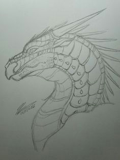 Dragon S Wing Drawing 316 Best Wings Of Fire Images Wings Of Fire Dragons Dragon Art