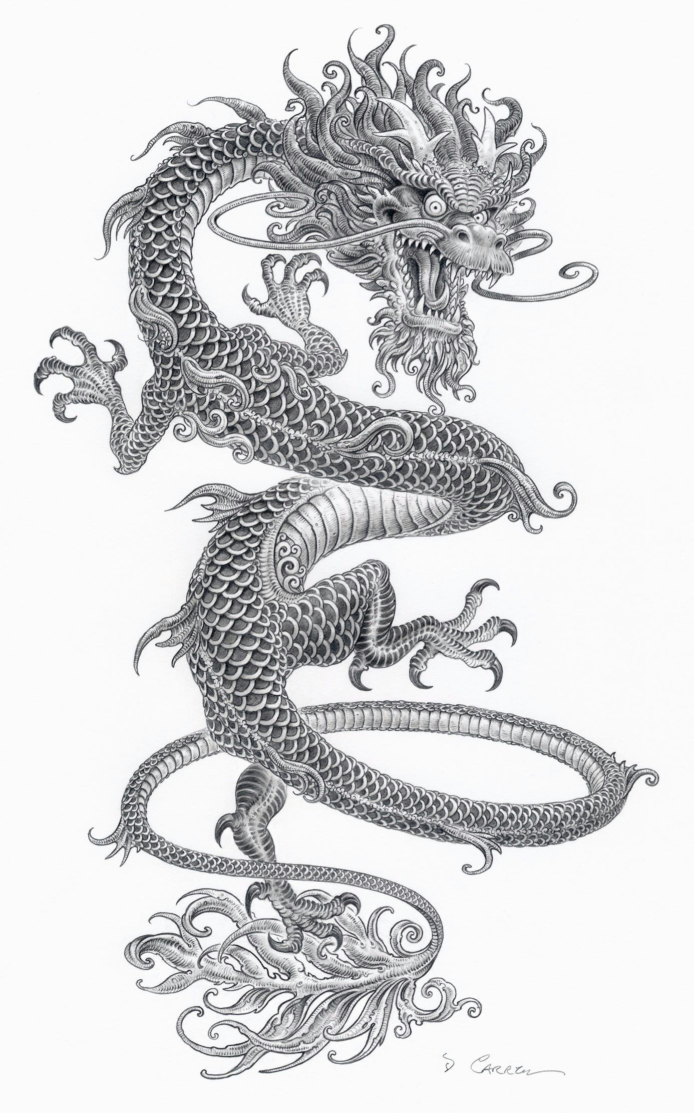 Dragon Scale Drawing Drawing Scales Free Download On Ayoqq org