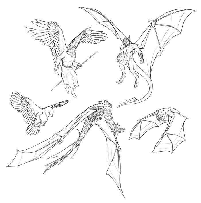Dragon Scale Drawing How to Draw and Animate Wings Birds Bats and More Autodesk