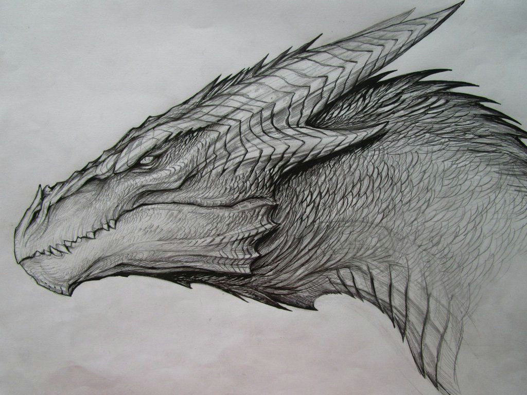 Dragons Body Drawing Image Result for Dragon Drawing Art Inspiration Dragon Sketch