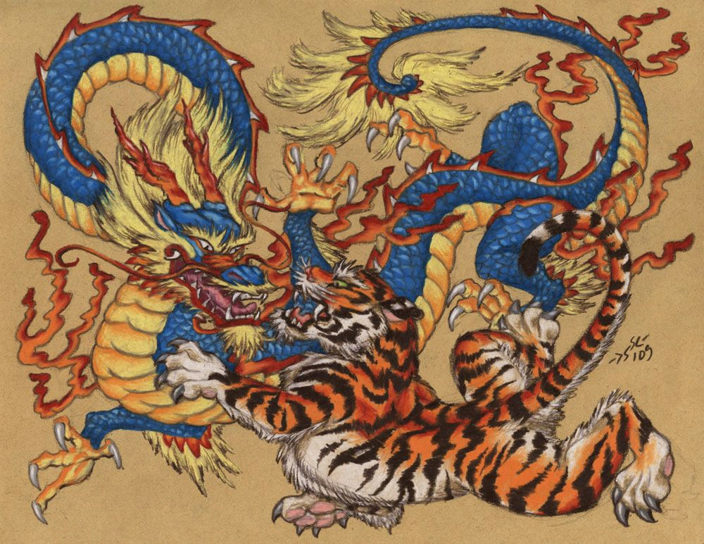 Dragons Fighting Drawing Dragon and Tiger Yin and Yang Tattoo Dragon Chinese Tiger
