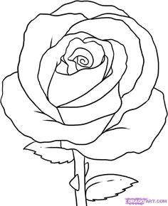 Draw A Basic Rose 1150 Best Doodle and Draw Images In 2019