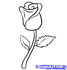 Draw A Basic Rose 163 Best How to Draw Rose Images Drawings Drawing Flowers How to
