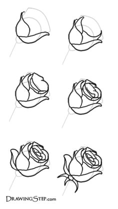 Draw A Basic Rose 94 Best Simple Things I Might Actually Be Able to Draw Images