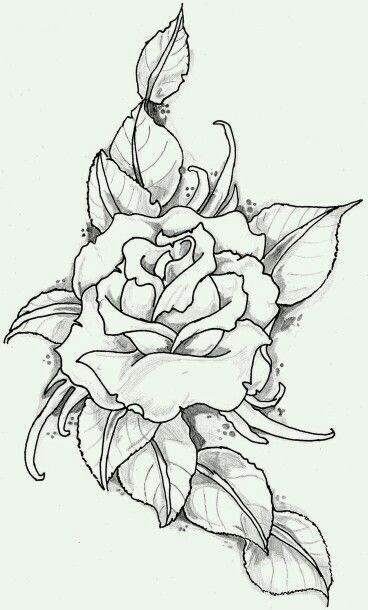 Draw A Black Rose Pin by Madison Reed On Tattoos Tattoos Rose Tattoos Drawings