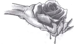 Draw A Bleeding Rose 12 Best Bleeding Roses Images Bleeding Rose Black Rose Flower