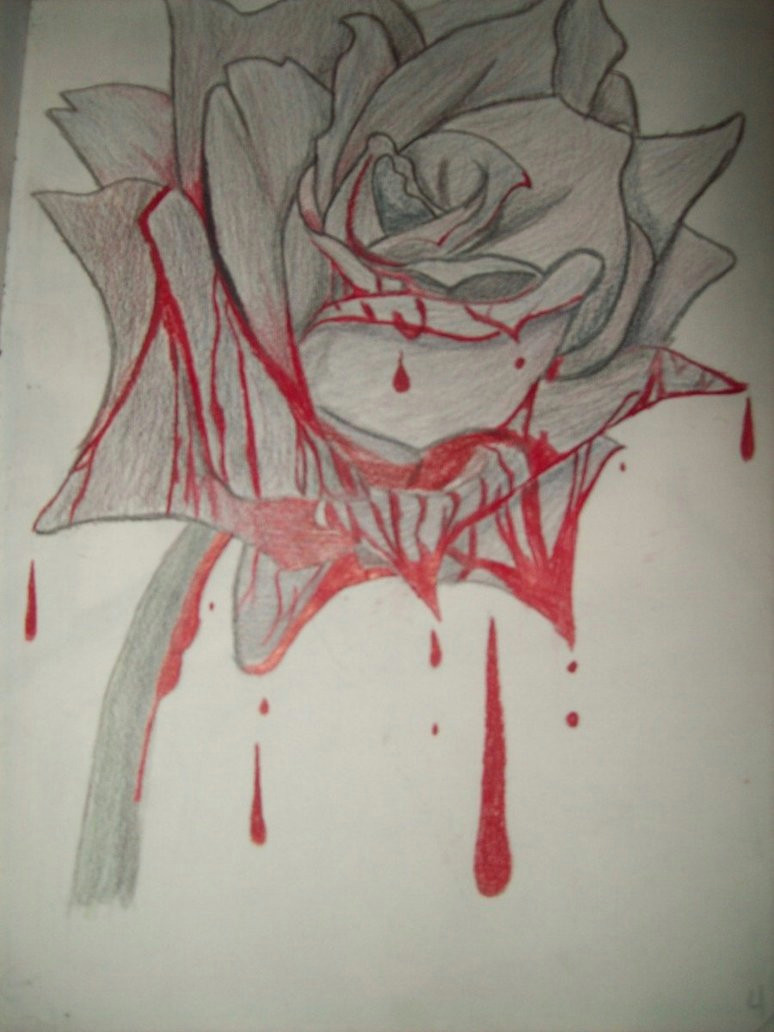 Draw A Bleeding Rose Dongetrabi Black Rose Drawing Bleeding Images