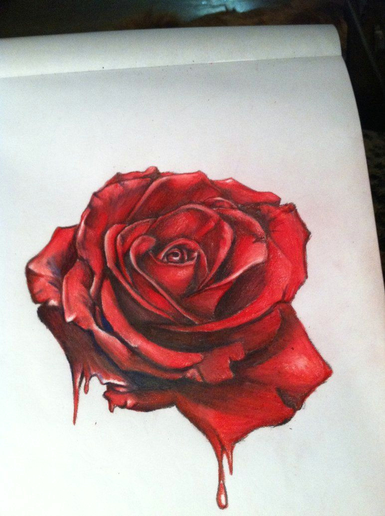 Draw A Bleeding Rose Just A Bleeding Rose Im Gonna Add A Rotting Green Skull Morphing