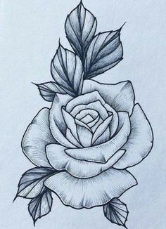 Draw A Blue Rose Tatoo Art Rose Rose Tattoo Design by Alyx Wilson society6 Hand