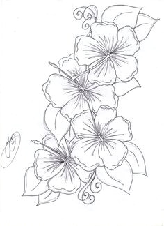 Draw A China Rose 11 Best Hibiscus Drawing Images In 2019 Hibiscus Drawing Hibiscus