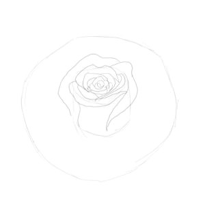 Draw A China Rose Rose Bud Sketch 3 Tattos Drawings Sketches Sketch Painting