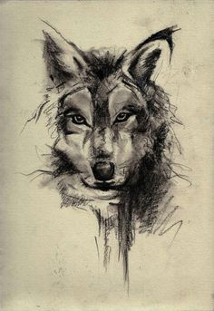 Draw A Detailed Wolf 109 Best Wolf Images Wolf Drawings Art Drawings Draw Animals