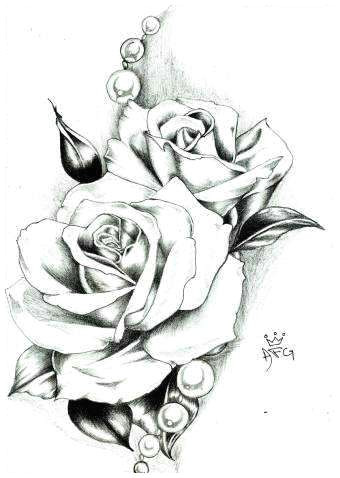 Draw A Flower Of Rose the Secret Of White Rose Flower