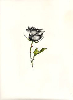 Draw A Little Rose 12 Best Tiny Rose Tattoos Images Tattoo Artists Tiny Tattoo
