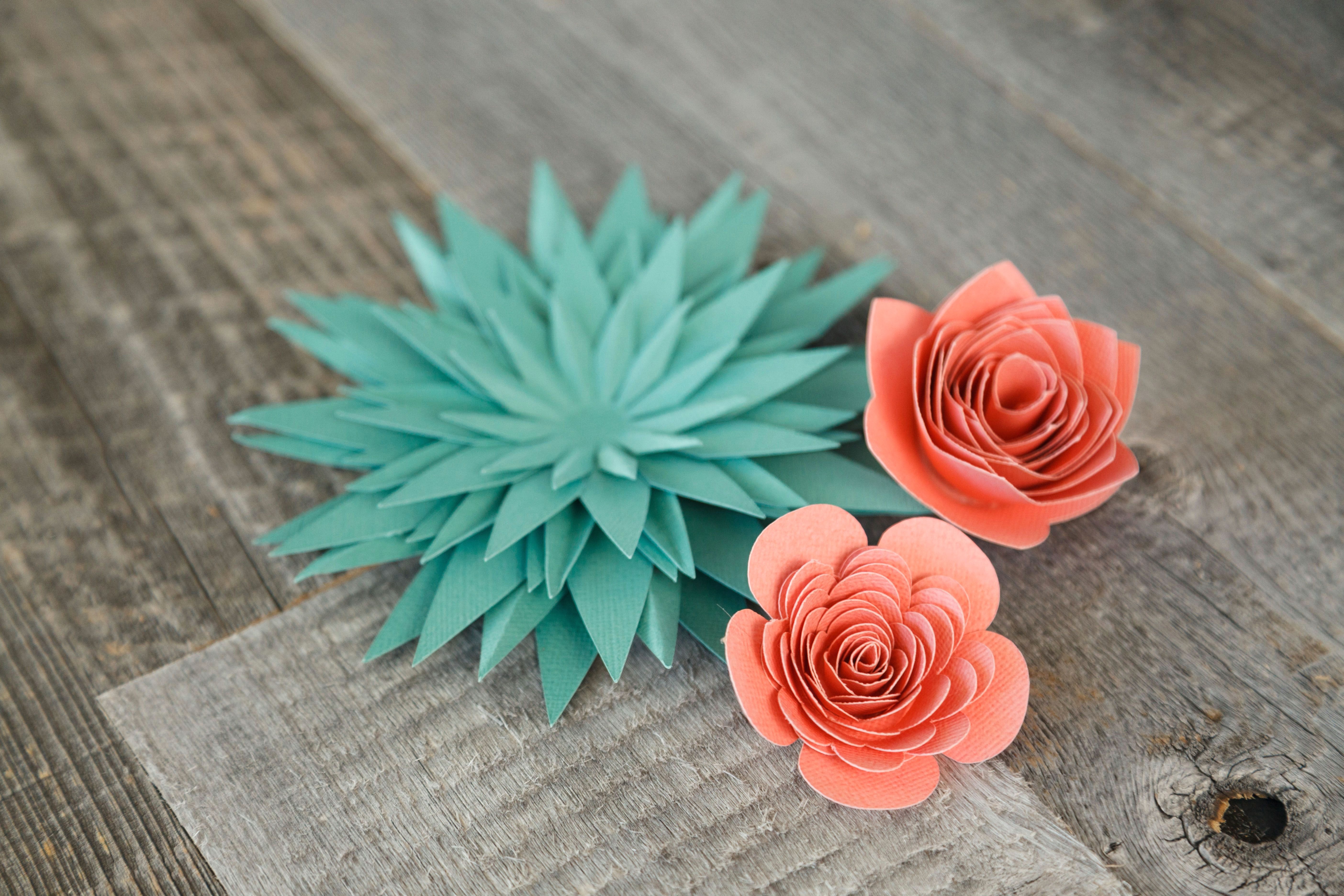 Draw A Paper Rose Paper Flowers Make them now with the Cricut Explore Air Machine In