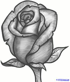 Draw A Real Rose 163 Best How to Draw Rose Images Drawings Drawing Flowers How to