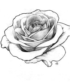 Draw A Real Rose Image Result for Detailed Flower Outline Art Tattoos Rose