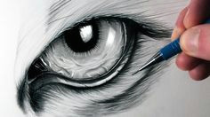 Draw A Realistic Wolf Eye 17 Best Dragon Eye Drawing Images Dragon Eye Drawing Drawings