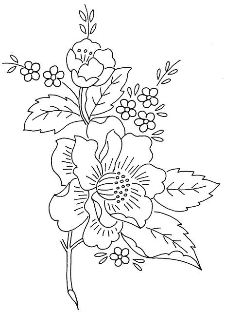 Draw A Rose and Colour It Flower Spray 1 Camera Print Embroidery Patterns Embroidery Flowers