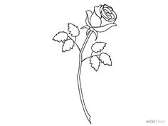 Draw A Rose Cartoon 163 Best How to Draw Rose Images Drawings Drawing Flowers How to