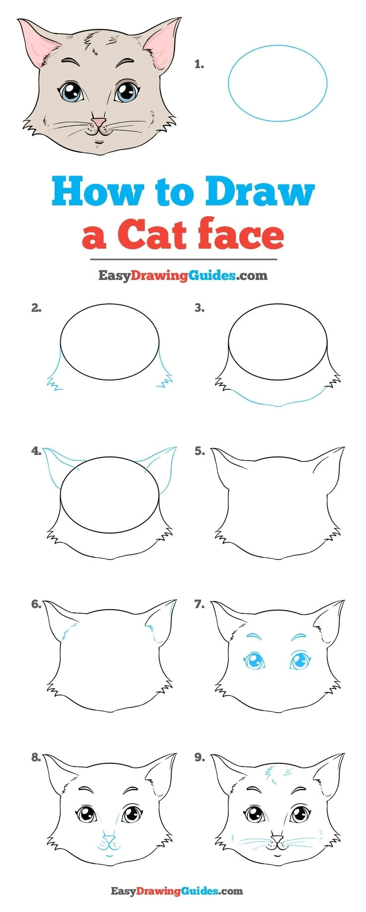 Draw A Rose Diagram How to Draw A Cat Face Really Easy Drawing Tutorial Malen