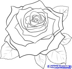 Draw A Rose Dragoart 9 Best Dragoart Images How to Draw Beautiful Drawings Crayon Art