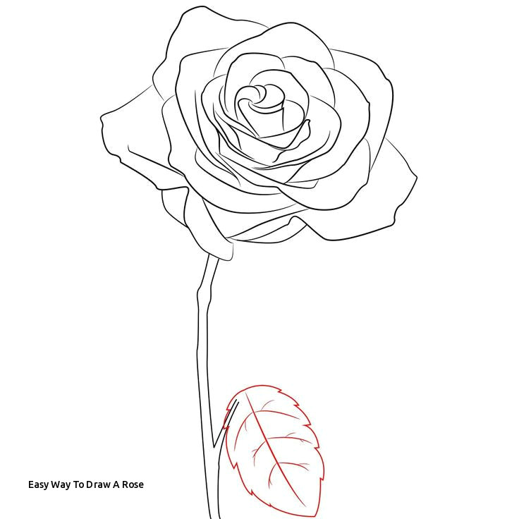 Draw A Rose Dragoart Easy Way to Draw A Rose the 29 Best Dragoart Images On Pinterest