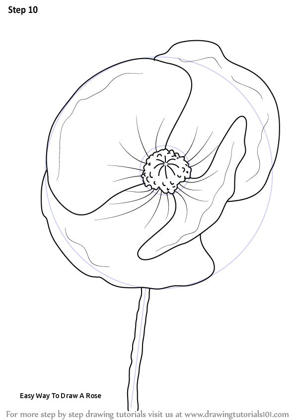 Draw A Rose Dragoart Easy Way to Draw A Rose the 29 Best Dragoart Images On Pinterest