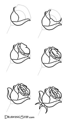 Draw A Rose for Me 100 Best How to Draw Tutorials Flowers Images Drawing Techniques