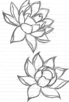 Draw A Rose for Me How to Draw A Rose Tutorial by Cherrimut On Tumblr Art Drawings