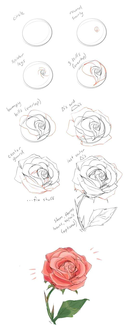 Draw A Rose for Me How to Draw A Rose Tutorial by Cherrimut On Tumblr Art Drawings