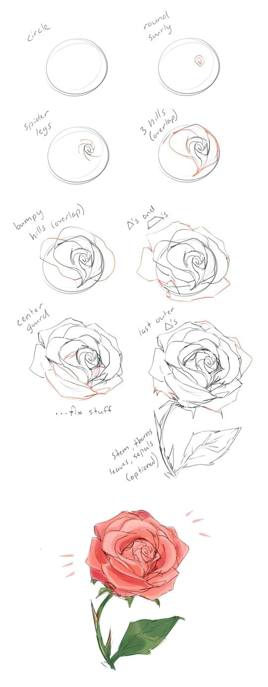 Draw A Rose From A Circle How to Draw A Rose Tutorial by Cherrimut On Tumblr Art Drawings