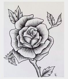 Draw A Rose From A Circle How to Draw Flowers Like An Artist Art Ed Central Loves Draw