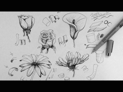 Draw A Rose From A Circle How to Draw Flowers Like An Artist Art Ed Central Loves Draw