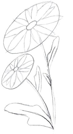 Draw A Rose Leaf 647 Best Flower Drawings Images In 2019 Drawings Flower Designs
