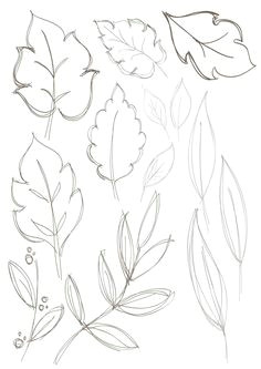 Draw A Rose Leaf 99 Best Flower Design Drawing Images Drawing Flowers Floral