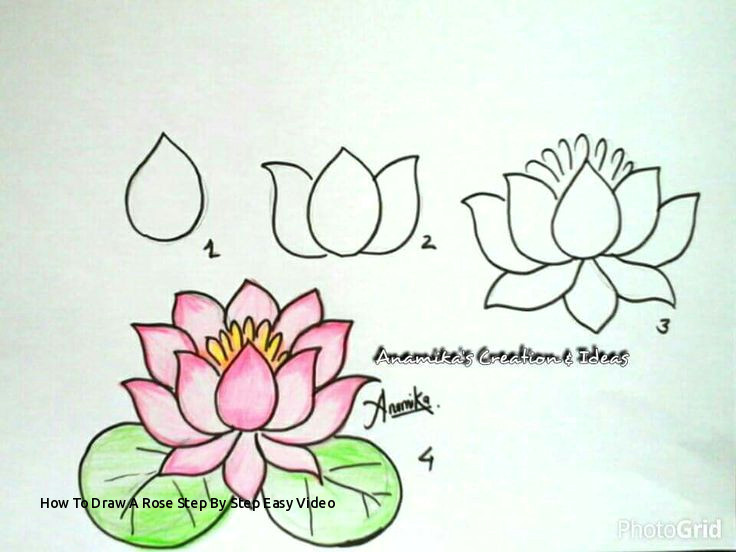 Draw A Rose On How to Draw A Rose Step by Step Easy Video Easy to Draw Rose Luxury