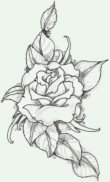 Draw A Rose On Https S Media Cache Ak0 Pinimg Com originals 89 0d 6b