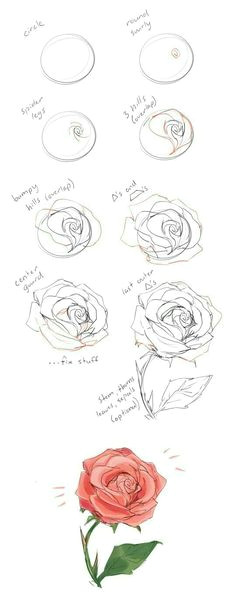 Draw A Rose Picture 1230 Best Rose Reference Images In 2019 Beautiful Flowers Pretty