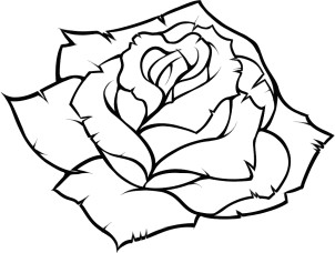 Draw A Rose Step by Step In Pencil How to Draw A Rose Dr Odd
