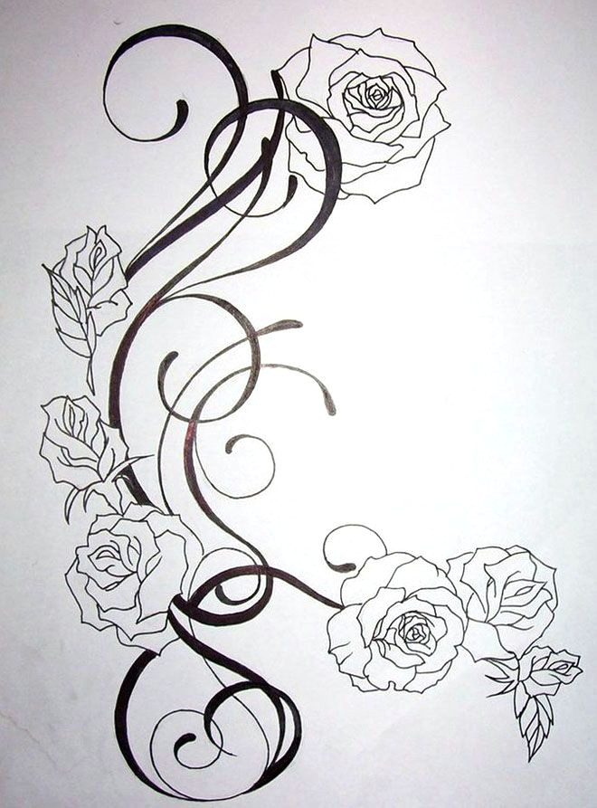 Draw A Rose Vine 45 Beautiful Flower Drawings and Realistic Color Pencil Drawings