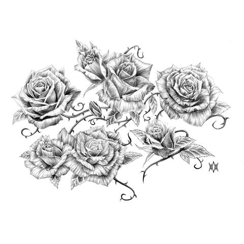 Draw A Rose Vine Image Result for Vine and Thorns Drawings Deck Of Cards Tattoos