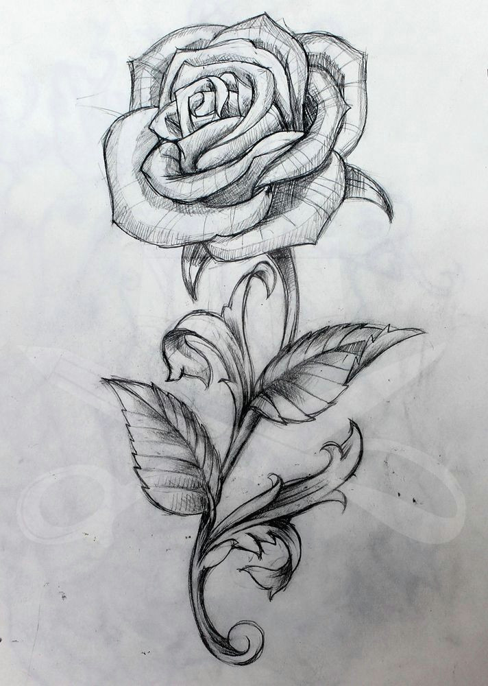 Draw A Rose with A Stem Rose and Stem Tattoo Art Tattoos Tattoo Drawings Rose Tattoos