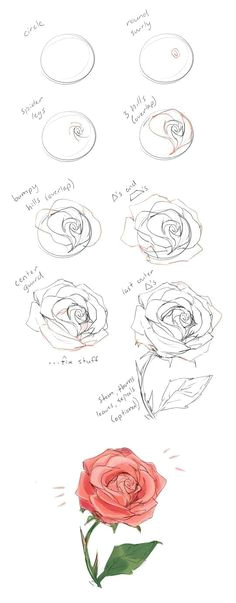 Draw A Rose with Chalk Die 83 Besten Bilder Von Sketchnotes Doodles Easy Drawings