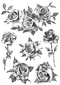 Draw A Rose with Leaves 76 Best Drawings Of Roses Images Flower Tattoos Tattoos Of