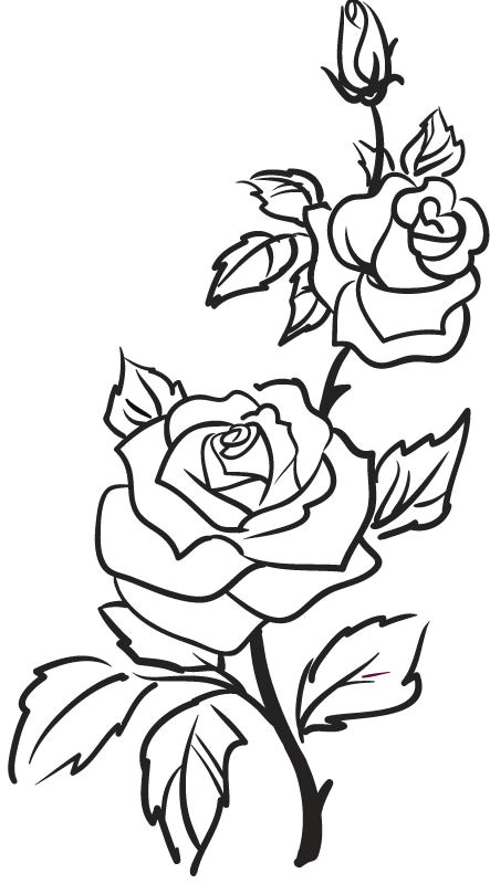 Draw A Rose with Leaves Rose Outline Google Search Outlines Drawings Art Flowers